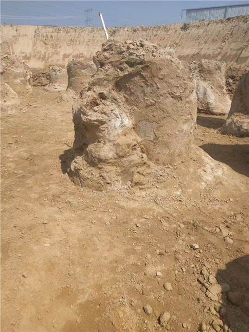 泰安草莓黄片免费观看